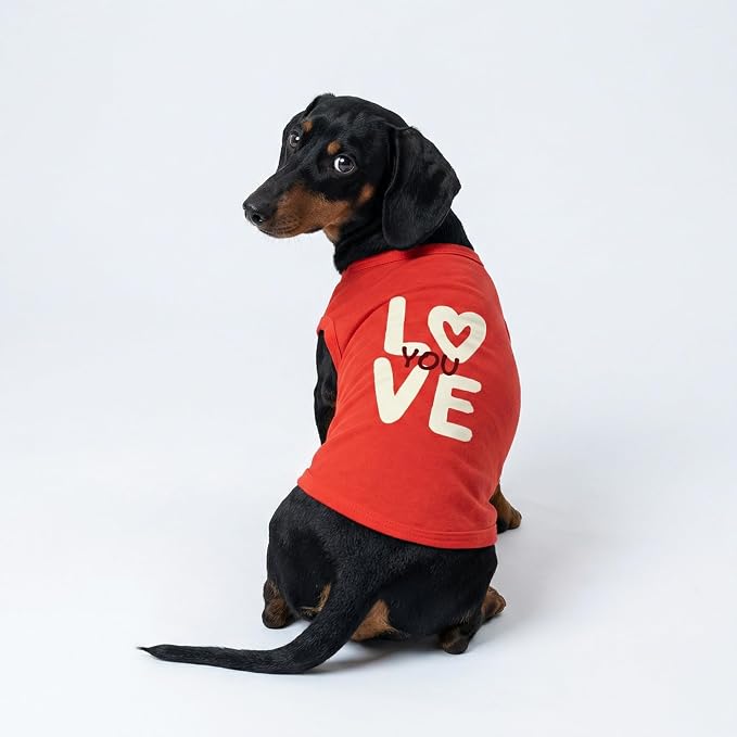 Fitwarm Love You Dog Shirt, Funny Valentines Outfit for Small Dogs Boy Girl, Festive Pet Clothes, Red, White, XXL