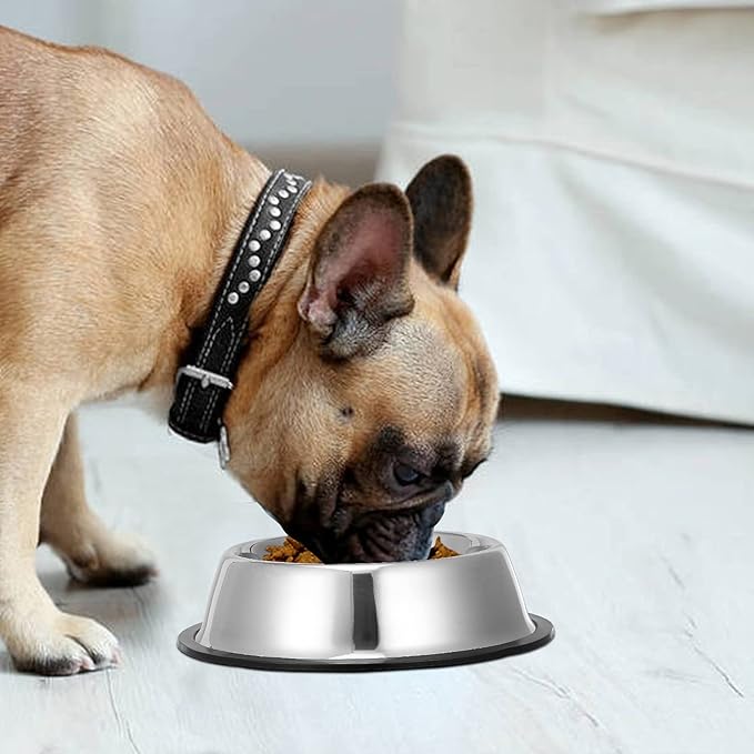 2 Pack Stainless Steel Dog Bowls with Rubber Bottom, Anti-Slip Heavy Duty Premium Quality Pets Feeder Bowls for Dogs and Cats and More (1½Cup / 10oz)