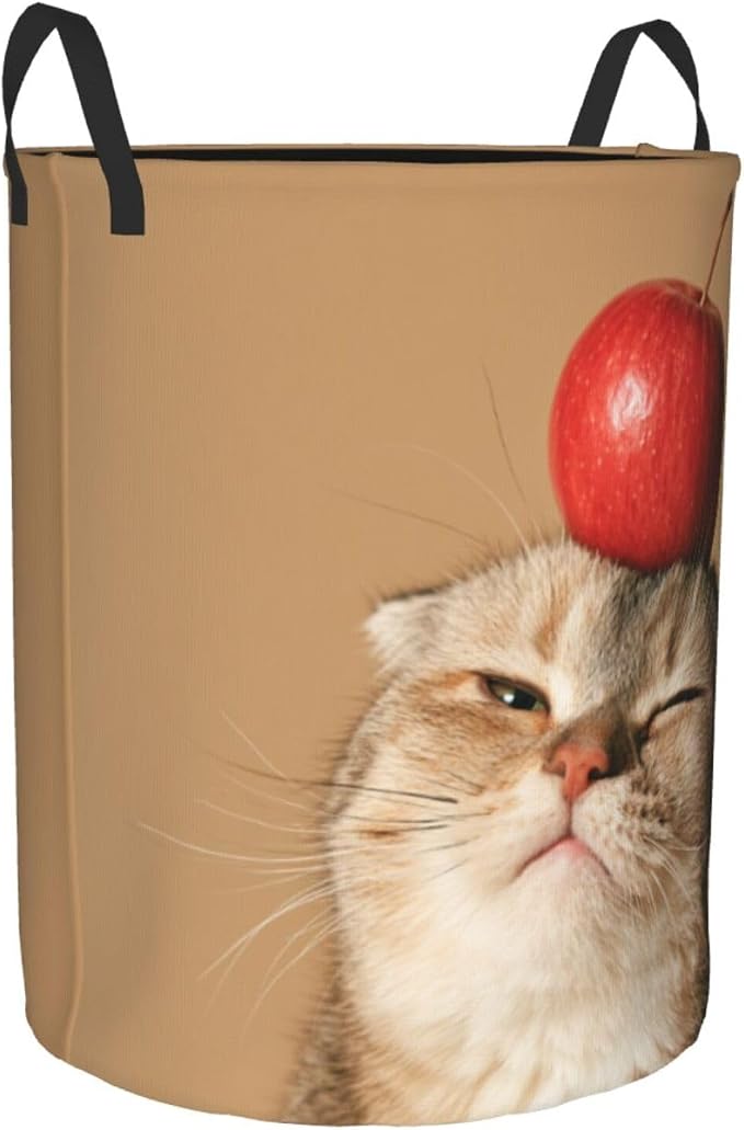 Funny Pet Cat And Fresh Apples Art Laundry Hamper 15.7×19.6 Inches | Clothes Basket With Handles, Versatile Storage Organizer For Home Decor, Laundry Room, Dorm, Bathroom, Living Room, Gifts