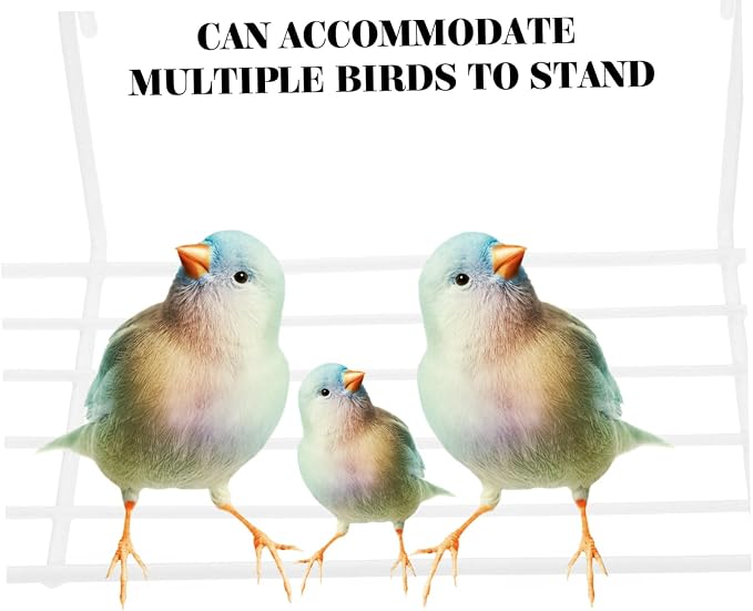 Mipcase 2pcs Wall Frame Bird Stand for Parrots Perch for Multiple Birds Display Shelf for Plants Impact-Resistant Design and Accessories