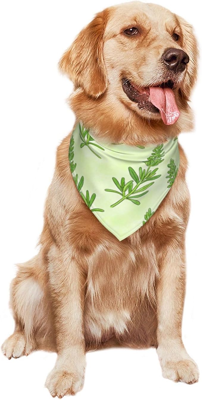 Sage Green Dog Bandana,Adjustable Triangle Bibs Dogs Scarf,Puppy Neckerchief Dog Cat Bib for Spring Summer (Grass Green)