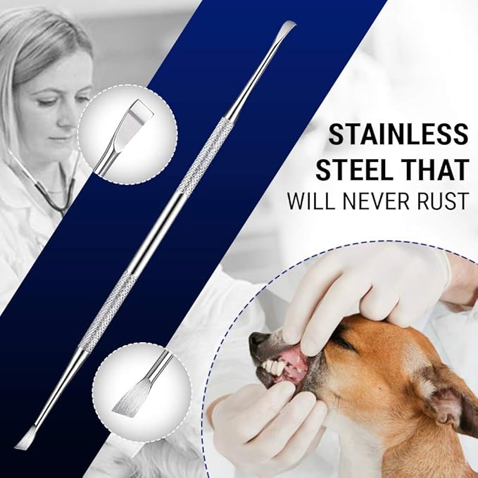 Pet Teeth Cleaning Tools – 6.5 Inch double header Tarter & Plaque remover tool for cats and dogs. Stainless Steel That Will Not Rust. By Majestic Bombay