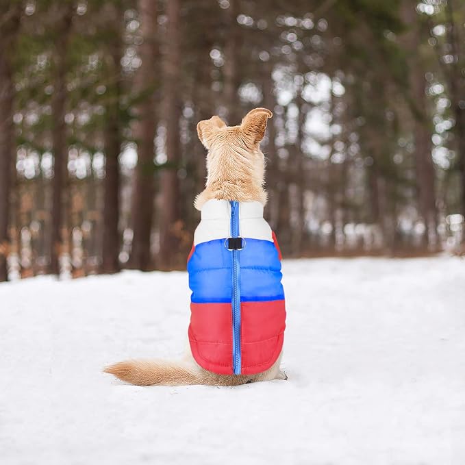 Idepet Pet Dog Cat Coat with Leash Anchor Color Patchwork Padded Puppy Vest Jacket Teddy Chihuahua Costumes Pug Cloth XS S M L (Small, Red)