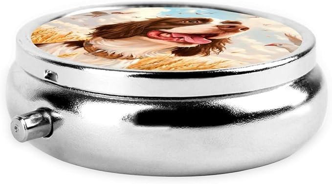 Painting Fall Springer Spaniel Dog Portable Pill Organizer | 3 Compartment, With Mirror, For Men Women, For Daily Supplements, Vitamins, Fish Oil, Jewelry, Candy, Travel
