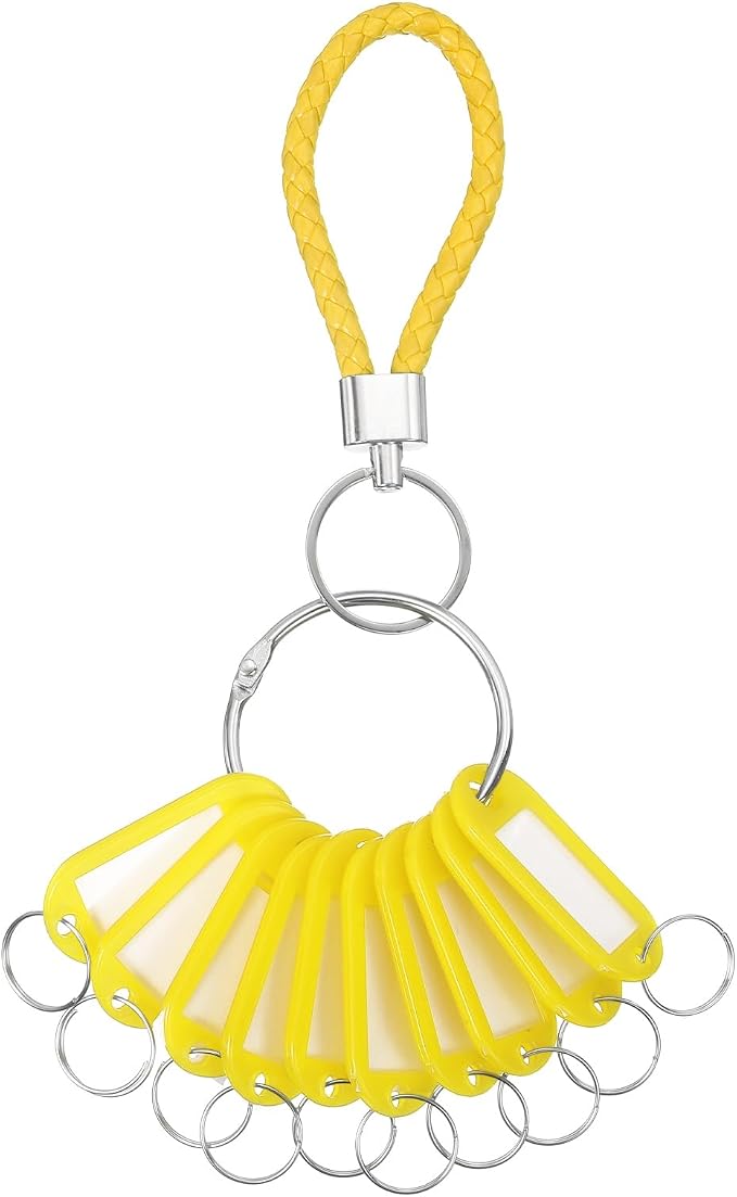 PATIKIL Key Tags with Labels, Key Organizer Keychain Markers Tags Holder with Bold Steel Ring and Braided Strap for Office