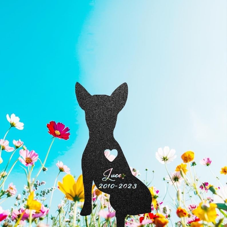 Custom Chihuahua Metal Garden Memorial Stake, Dog Loss Gift, Yard Sign | Pet Memorial Gifts for Dogs, Grave Marker, Grave Decorations for Cemetery, Dog Dad Gifts, Back Yard, Garden Decor