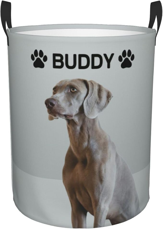 Personalized Large Dog Toy Storage Basket Bin Collapsible Custom Pet Stuff Box Chest Container for Living Room Organizer for Dog Toys,Dog Food,Blankets,Clothing (Grey)