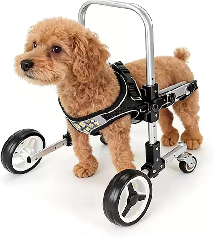 Dog Front Leg Wheelchair, Adjustable Pet Mobility Cart, Lightweight Stainless Steel Dog Rehabilitation Assist Walker for Small Medium Disabled Dogs, Hind Leg Support(Large)