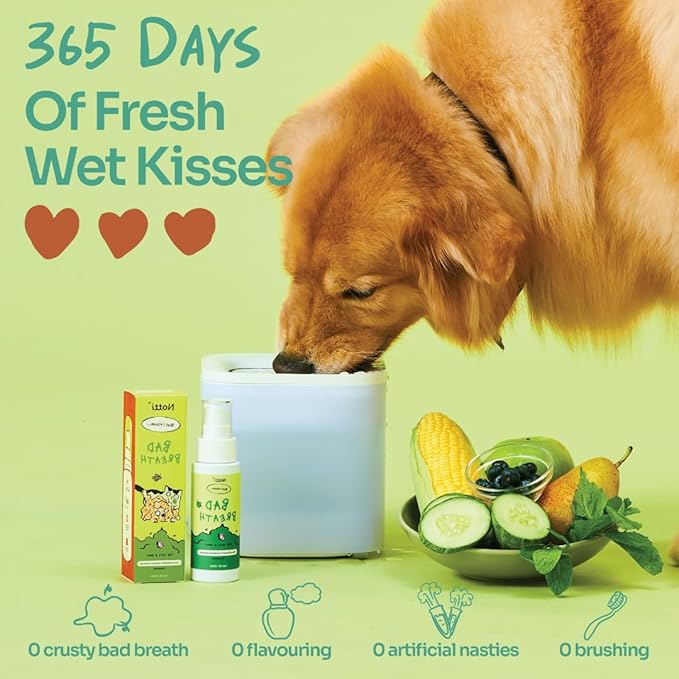 Notti Dental Fresh Advanced Plaque and Tartar Spray - Oral Care Spray - Water Additive - Pet Dental Care - No Toothpaste No Toothbrush - Eliminate Bad Dog and Cat Bad Breath - Freshen Breath