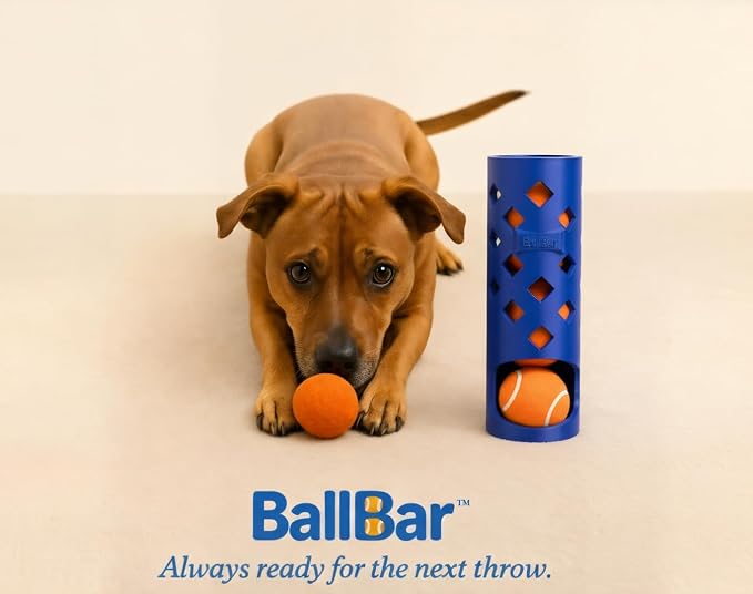 Wall Mounted Tennis Ball Holder for Dogs | Weatherproof ASA Dog Ball Storage for Garage, Patio, Mudroom or Porch - Fits Ball Launchers & Chuckers - Made in USA