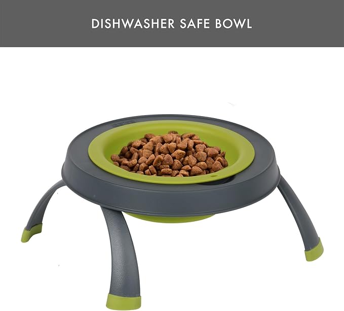 Dexas Pets Elevated Pet Feeder, Large, 4 Cup Capacity, Green, Raised Pet Food and Water Bowl