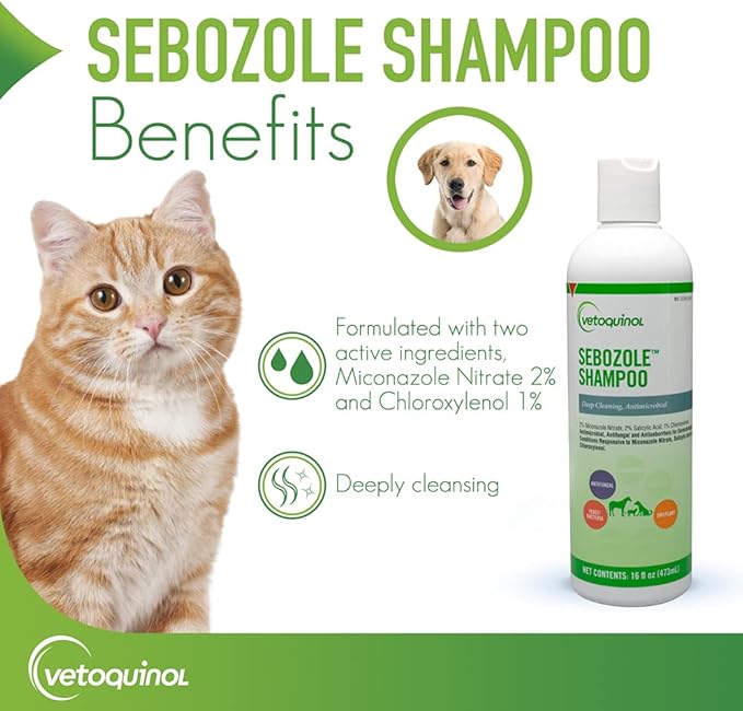 Vetoquinol Sebozole Shampoo - Deep Cleansing Shampoo for Dogs, Cats & Horses - Gentle Formula with Effective Ingredients for Routine Use - Sulfate-Free & Liquid Form - 16oz