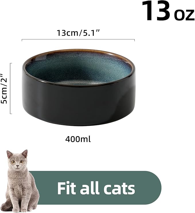 Havniva Ceramic Set of 2 Cat Bowls, Food and Water Bowls for Cats, Kitty, 2pcs Cat Dishes, Pet Feeder(5.1inch, 2 x Starry Sky Bowls)