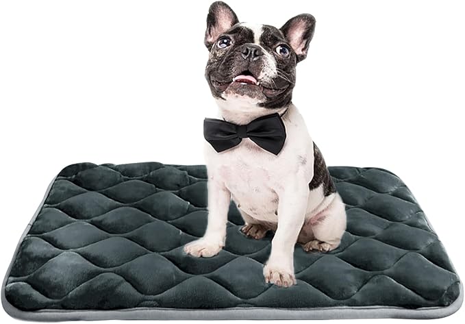 Dog Bed Mat Crate Pad, Anti-Slip Bottom Machine Washable Pet Pad | Thick lightweight mat with anti-slip bottom, machine washable. Ideal for dogs, cats in crates, home & car, XM 36x23'', Grey
