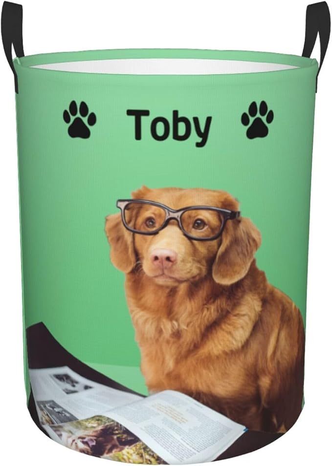 Personalized Large Dog Toy Storage Basket Bin Collapsible Custom Pet Stuff Box Chest Container for Living Room Organizer for Dog Toys,Dog Food,Blankets,Clothing (Mint)