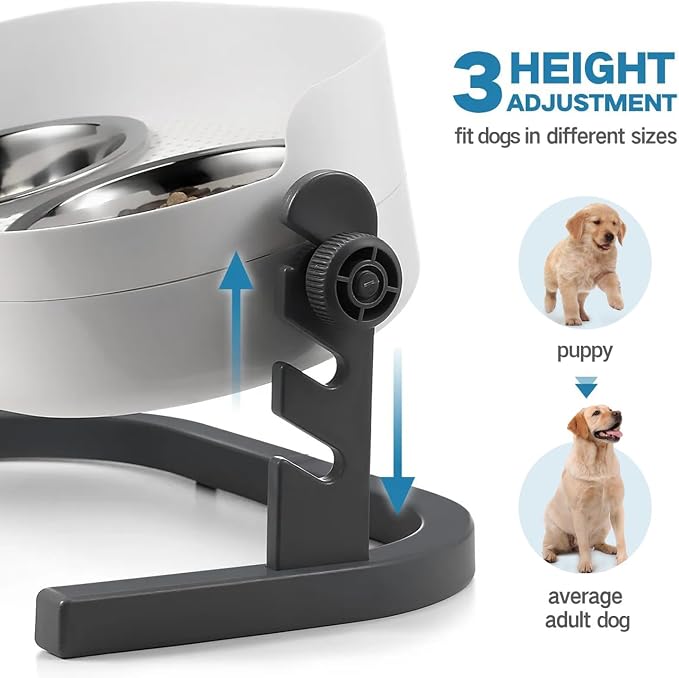 All for Paws Elevated Dog Bowls, Stainless Steel Food & Water Bowls, Height Adjustable Raised Cat Feeder Mess Proof Pet Feeding Bowls for Small to Large Size Dogs