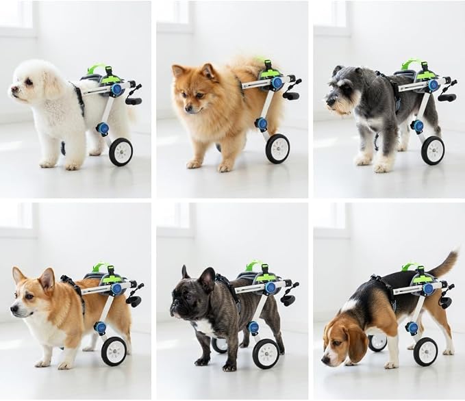 Pet Wheelchair Mobility Support Dog Cart for Back Legs Adjustable Lightweight Lightweight Aluminum Pet Walker for Paralysis Assistance & Post Injury Recovery