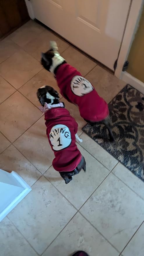 Dog Hoodie Pet Clothes for Small Dogs Thing 1 Printed Hoodies Medium Puppy Hooded Sweatshirt Pullover Outfit(Wine Red,M)