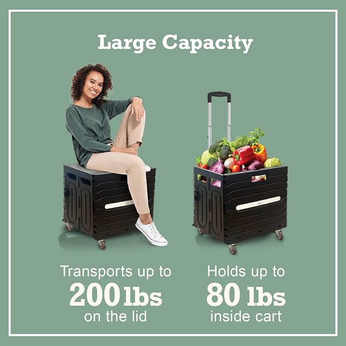 Inspired Living Collapsible Folding Utility Cart, Heavy-Duty Rolling Crate with 360° Wheels, Telescoping Handle, Hidden Lid, Holds 200 Lbs, Black
