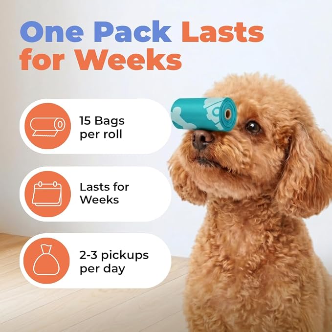 Best Pet Supplies Poop Bags for Dogs - Turquoise, 240 Count | Scented, Leak-proof, Easy-Tear perforations, 15 Thick Bags per roll, Outdoor Walking & Travel, Fits Standard Holders
