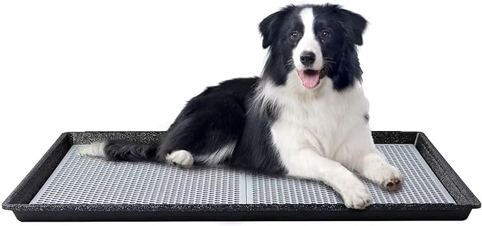 HQ4us Dog Pee Pad Holder Tray with Grate 34”×23”, Large Dog Litter Box Toilet, Puppy Pee Pad Holder, Less Mess, Dog Potty Indoor Outdoor for Balcony | Puppy Pee Pad Holder Tray, Easy Clean Potty for Dogs Potty Training, Leak-Resistant Plastic Toilet Ou...