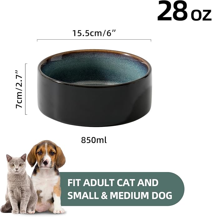Havniva Cat Bowls Set of Two, 6.1” Ceramic Cat Food Bowls, Cat Water Bowl | Cat Food and Water Bowl Set, Non-Slip Base, Food-Grade Ceramic, Wide Opening, Dishwasher Safe, Pet Bowls Whisker Friendly