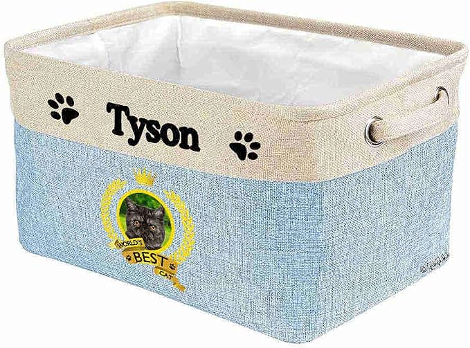 Custom Name Collapsible Dog Toy Storage Basket Bin World's Best Cat Exoticshorthair Foldable Pet Toy Box Closet Shelf Baskets Organizer for Bedroom Home Dog Cat with Handles Blue