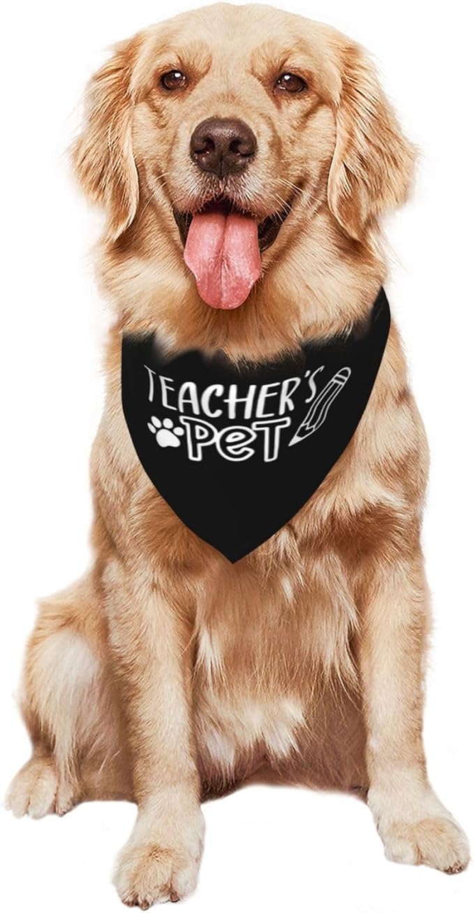 Teacher's Pet Dog Bandana,Funny Bandana Gift,Photo Prop Accessories for Dog Lovers Owner Gift,Triangle Reversible Fall Scarf, Adjustable (Black)