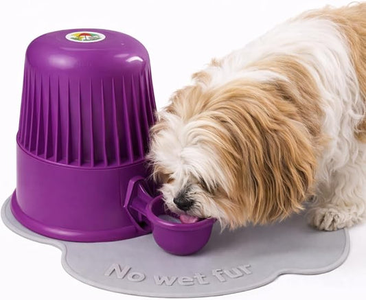Pet Water Dispenser for Dogs and Cats, 67.6 oz – Gravity-Fed Water Bowl for Clean Drinking, Prevents Wet Fur, BPA-Free Polypropylene, (Opaque Purple)