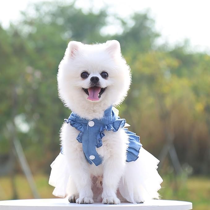 Dog Cat Denim Tutu Dress, Princess Puppy Kitten Outfit with Pearl Bow & Stand-Up Collar, Sleeveless Pet Clothes for Wedding Birthday Party, Easy Front Snap Closure for Chihuahua(White-Denim, X-Large)