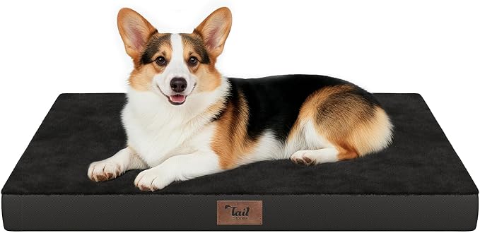 Outdoor Waterproof Orthopedic Dog Bed for Large Dogs | Egg Crate Foam for Joint Support, TPU Waterproof Layer, Machine Washable 1680D Oxford Cover, 36 x 27 Inch, Up to 65 lbs