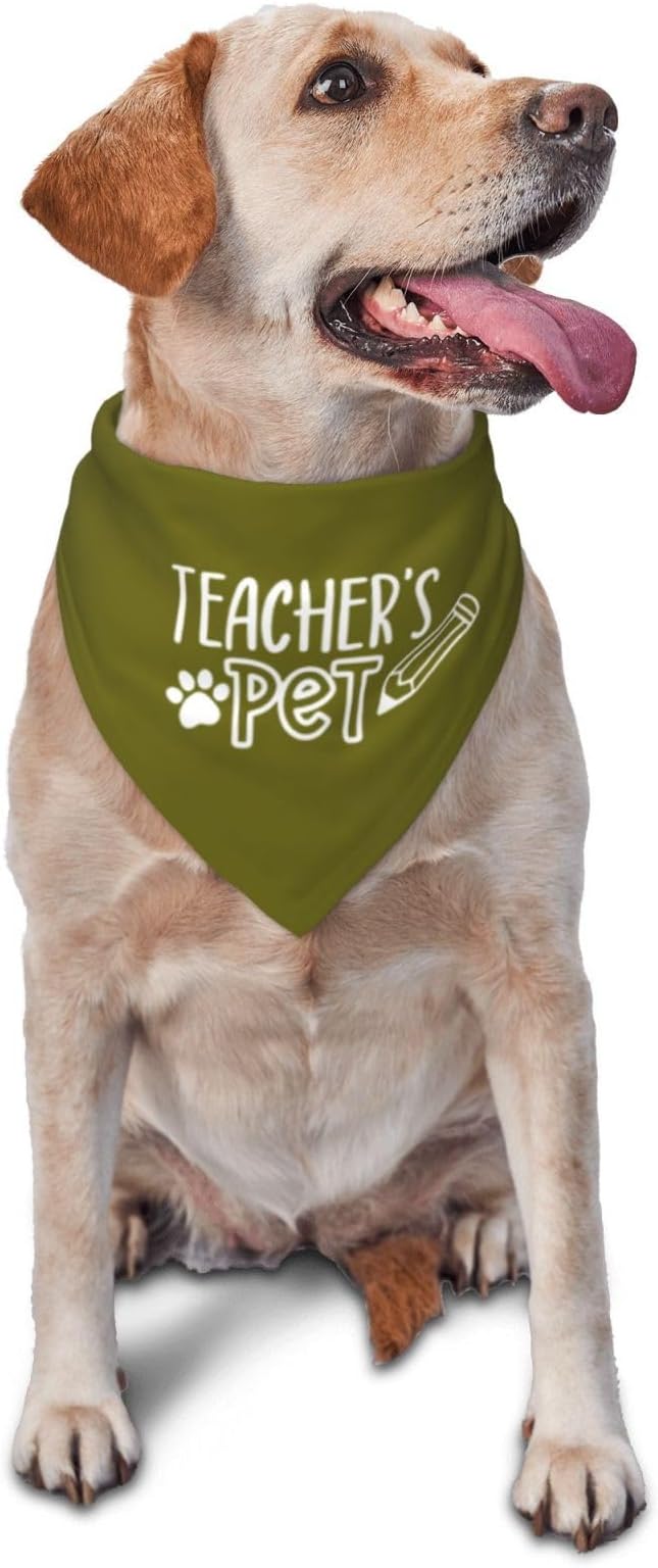 Teacher's Pet Dog Bandana,Funny Bandana Gift,Photo Prop Accessories for Dog Lovers Owner Gift,Triangle Reversible Fall Scarf, Adjustable (Green)