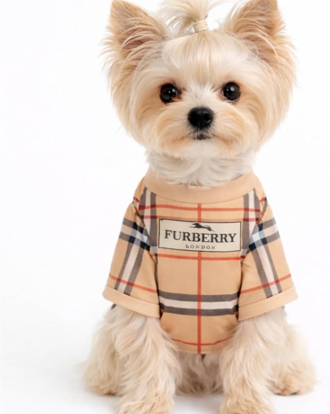Luxury Designer Dog T Shirt – Trendy Puppy Clothes for Small Dogs, Fashion Pet Tee for French Bulldogs & Chihuahuas, Everything Chic Dog Apparel (FurberryTee, Small)