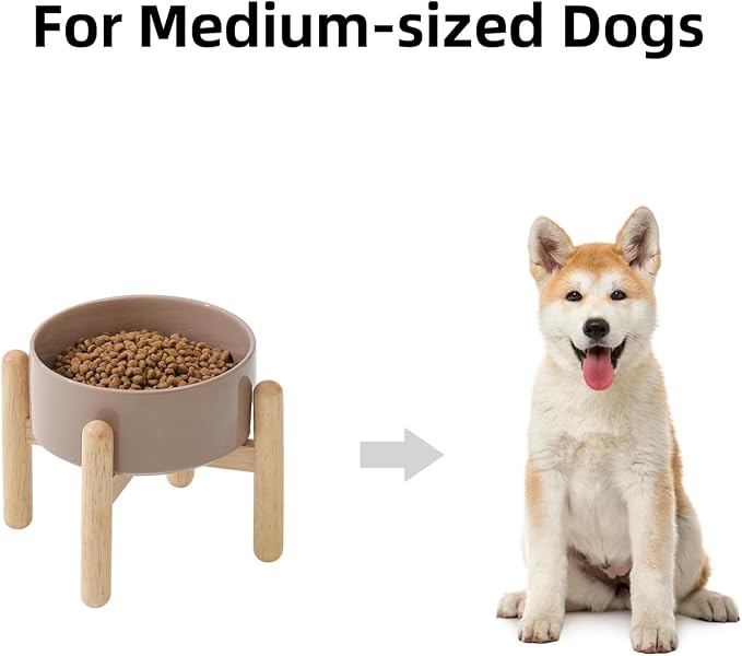 Havniva Ceramic Dog Bowls Elevated, Raised Dog Food Bowl for Small Dogs | 6.1” Elevated Dog Bowls, Non-Slip Wood Stand, Dog Food and Water Bowl Set, Dog Feeding Dish, Large Capacity Pet Water Bowl