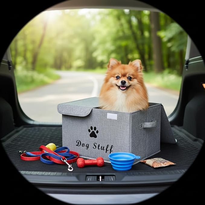 Morezi Large Dog Toy Storage Box with Lid Basket Organizer - Perfect Collapsible Bin for Living Room, Playroom, Closet, Home Organization - Snow Gray