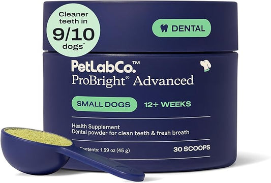 PetLab Co. ProBright Advanced Dental Powder - Dog Breath Freshener - Teeth Cleaning Made Easy – Targets Tartar & Bad Breath - Packaging May Vary - Formulated for Small Dogs