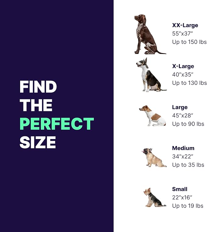 Pet Support Systems Orthopedic Dog Bed - Gel Memory Foam Pet Bed, Luxury Washable Dog Bed for Sleeping and Support (Removable Cover, Large Gray Dog Bed)