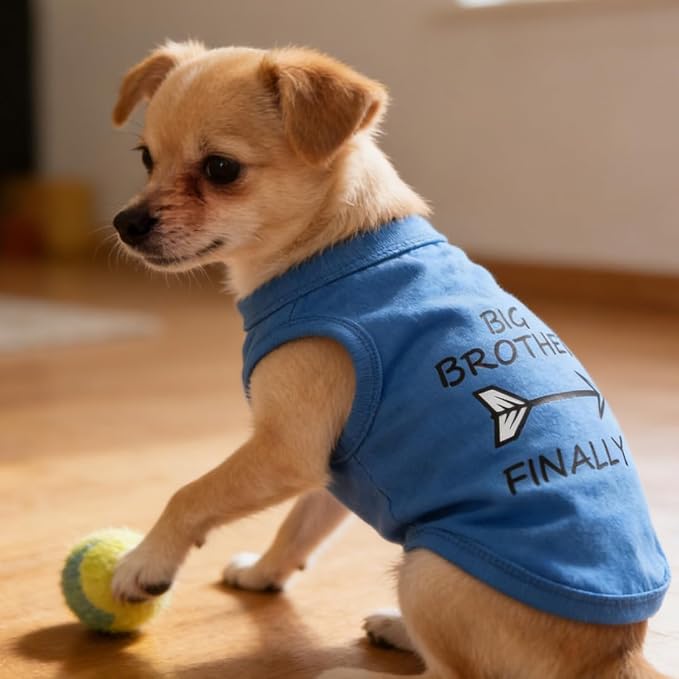 Big Brother Dog Clothes for Small Boy Dogs Yorkie Chihuahua Teacups, Cotton Cat T Shirts for Kittens Puppies Male, Funny Pet Apparel Outfits (Neck Girth 10.24'')