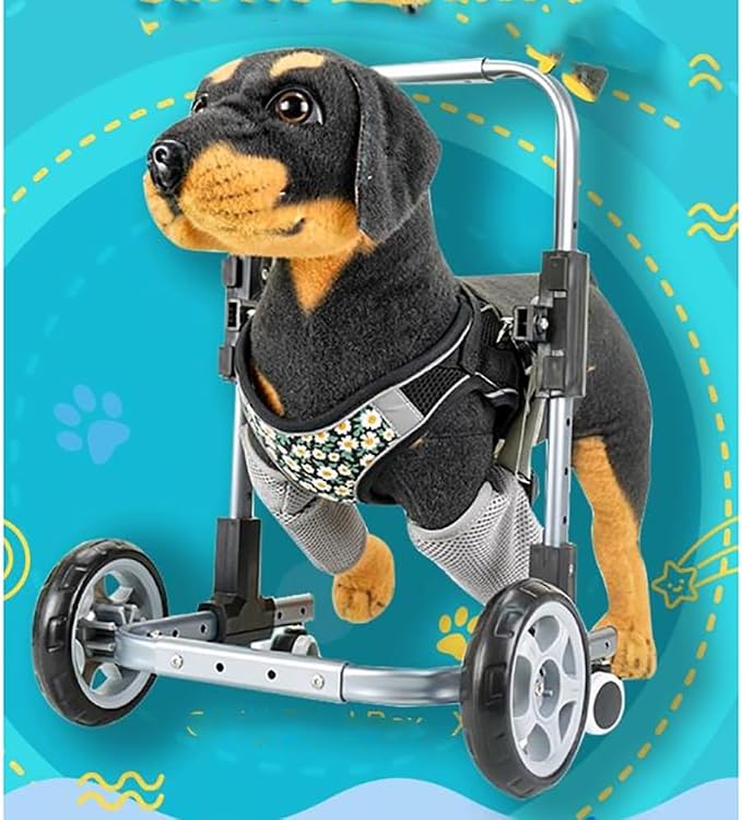 Aircraft - Grade Aluminum Dog Wheelchair - Adjustable Height, Stable ABS Clamps, Breathable Mesh Leg Rests(S)