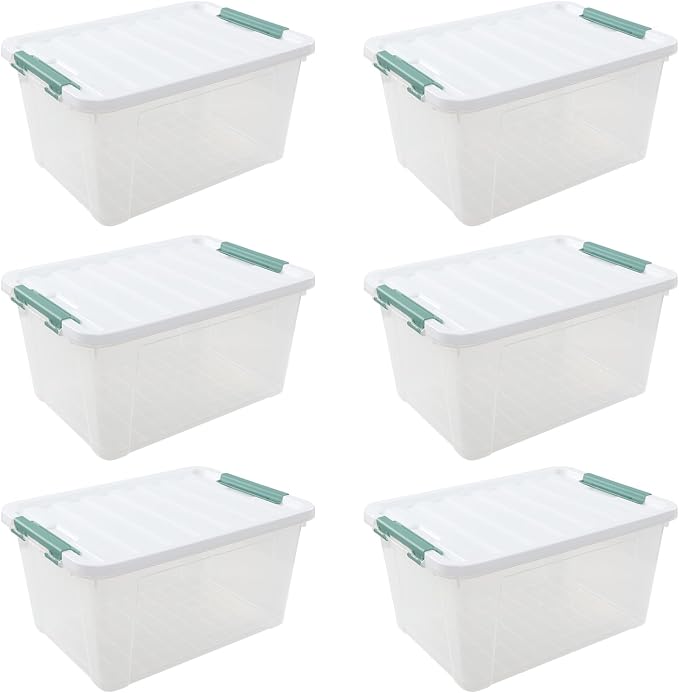 6-Pack Plastic Storage Bins with Lids, 20 L Clear Storage Containers