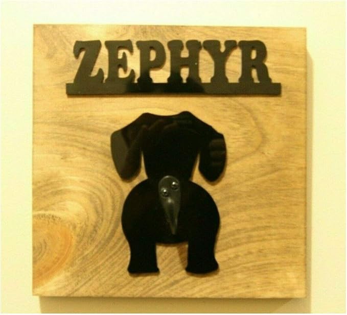 Personalized Wooden Dog Leash Hangers Custom Leash Holder Puppy Pet Hook Name Dog Design Sign Wall Organizer Decor, Hook and Hardware Is Installed Ready To Use, No More Where's the Leash? A Must Have