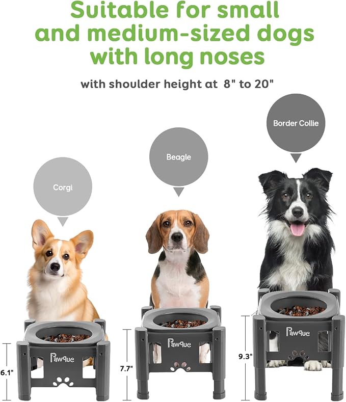 Pawque 35oz Elevated Slow Feeder Dog Food Bowls with Adjustable Stand | 3 Heights (6.1", 7.7", 9.3"), Raised Dog Bowls for Medium and Small Breed Dogs Cats, Non Slip Rubber & Mess Proof