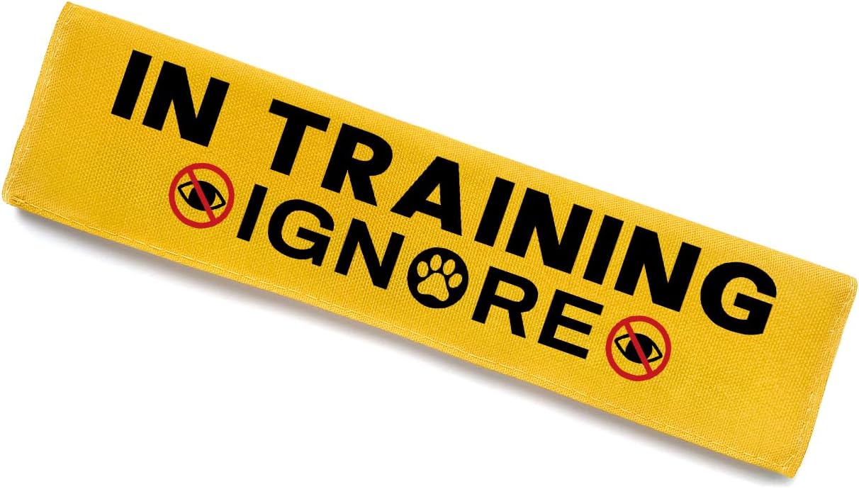in Training Dog Leash Sleeve - Funny Yellow Alert Wrap with Hanging ID Patch Tag | Service Dog Leash Accessory, Perfect Pet Birthday Gift for Dog Owners