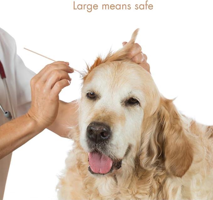 GLADOG 6 Inch Professional Large Cotton Buds for Dogs, Specially Designed Dog Cotton Buds with Wood Handle, Large Means Safe