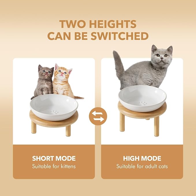Havniva Elevated Cat Bowls, Ceramic Cat Bowl with Bamboo Stand Wide Opening | 5.7” Raised Cat Food Bowls, Whisker Friendly Cat Dish, Anti-Slip Cat Water Bowls, Shallow Cat Bowls, Cat Food & Water Bowl