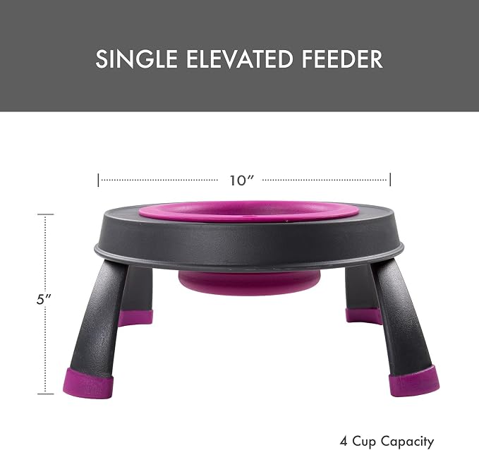 Dexas Pets Single Elevated Pet Feeder/Pet Bowl, 4 Cup Capacity, Fuchsia, Large/4 Cup Capacity