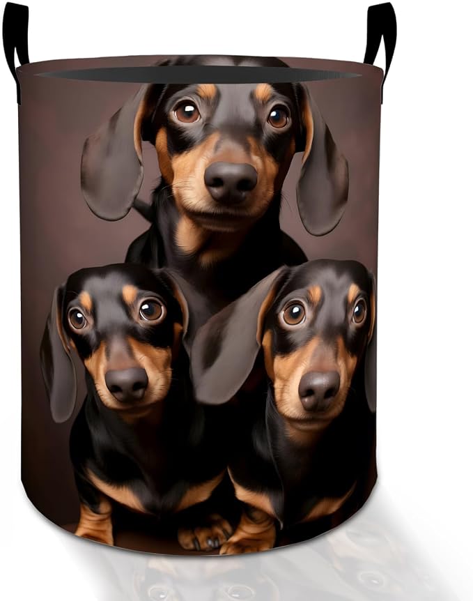 Dachshund Laundry Basket Hamper for Boys Girls Kids Adults, Foldable Waterproof Oxford Clothes Storage Bin, Dog Organizer for Bedroom Bathroom Room Decor 19.7"x15.8"