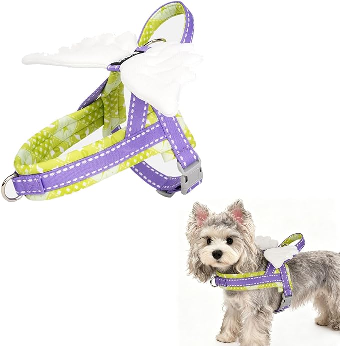 HDKUW Small Dog Harness with Angel Wings, Green M