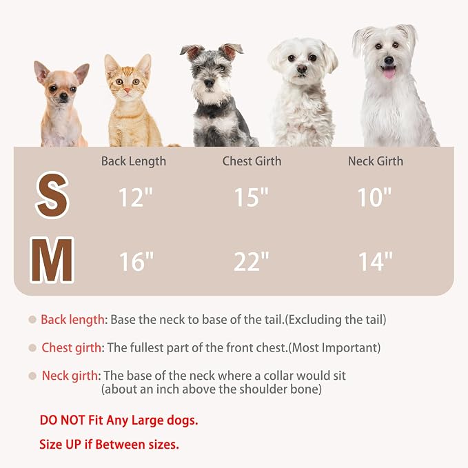 PUPTECK Classic Plaid Dog Shirt, Puppy Polo T-Shirt Clothes, Beige M | Soft Cotton Button Up Dog Clothes for Small Medium Dogs Boy Girl, Fashion Pet Tee, Chic Casual Pet Outfit Apparel