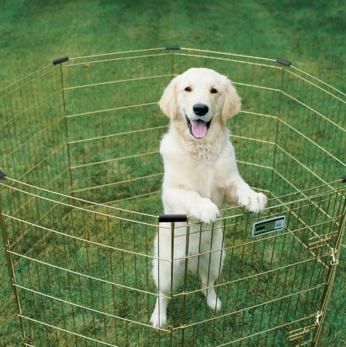 MidWest 30-Inch Exercise Pen, Single Door, 16 Sq Ft Play Area | for Indoor and Outdoor Use, Large Door Opening & Secure Latch, Easy to Set Up, Foldable Playpen